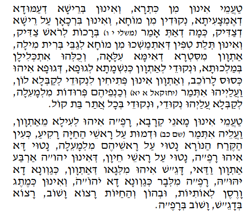 Daily Zohar -101. Scanning from right to left top to bottom Holy Zohar text. Daily Zohar -101.