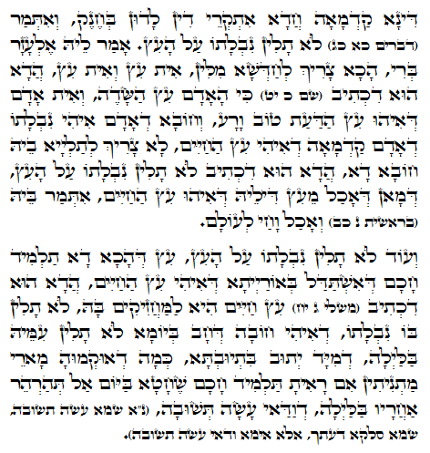 Daily Zohar -1029 Scanning from right to left top to bottom Holy Zohar text. Daily Zohar -1029