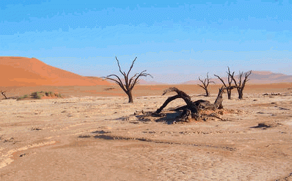 Daily Zohar # 1577 – Devarim – Desert