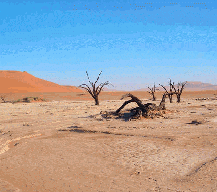 Daily Zohar # 1577 – Devarim – Desert