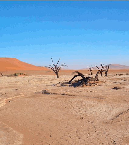 Daily Zohar # 1577 – Devarim – Desert