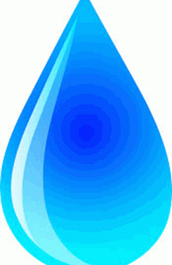 The Shechina Cries Out – By Rabbi Fish