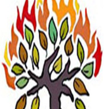 Daily Zohar # 1602 – Shoftim – The Burning Bush