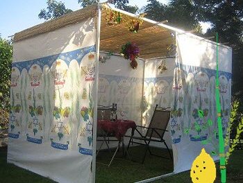 Daily Zohar # 1636 – Zohar Sukkot – Sukkah and Lulav