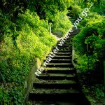 Daily Zohar # 1662 – Chaye Sarah – No matter where you go, there you are