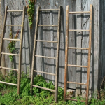 Daily Zohar # 1775 – Vayikra – 18 rungs