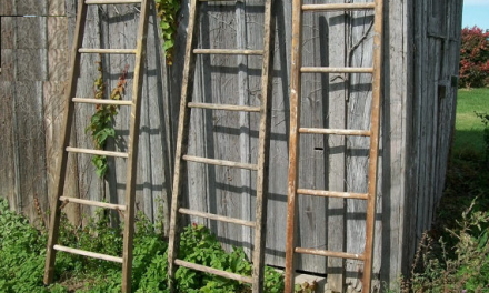 Daily Zohar # 1775 – Vayikra – 18 rungs