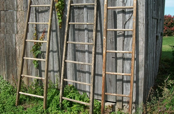 Daily Zohar # 1775 – Vayikra – 18 rungs