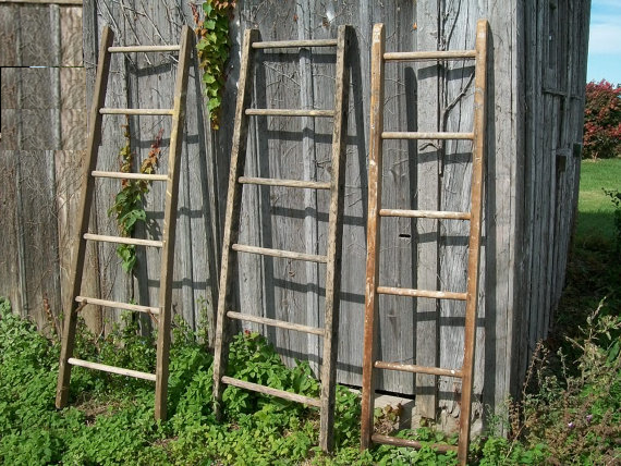 Daily Zohar # 1775 – Vayikra – 18 rungs