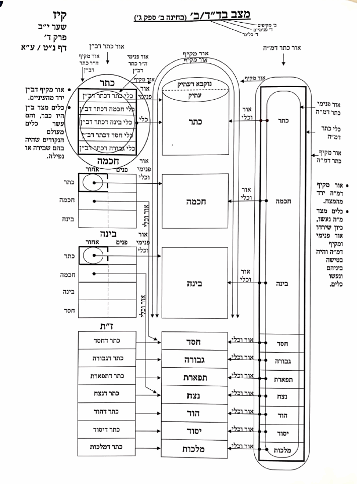 THE TREE OF LIFE IN THE GARDEN עץ החיים שבגן - Image 10