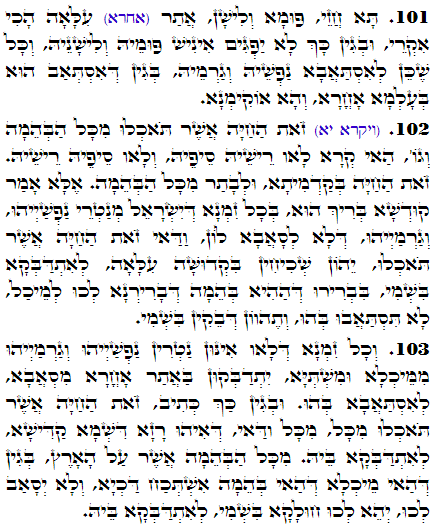 Daily Zohar -3316 Scanning from right to left top to bottom Holy Zohar text. Daily Zohar -3316